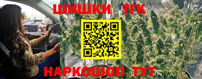 сатива Брянск