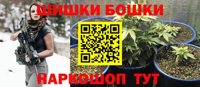сатива Брянск