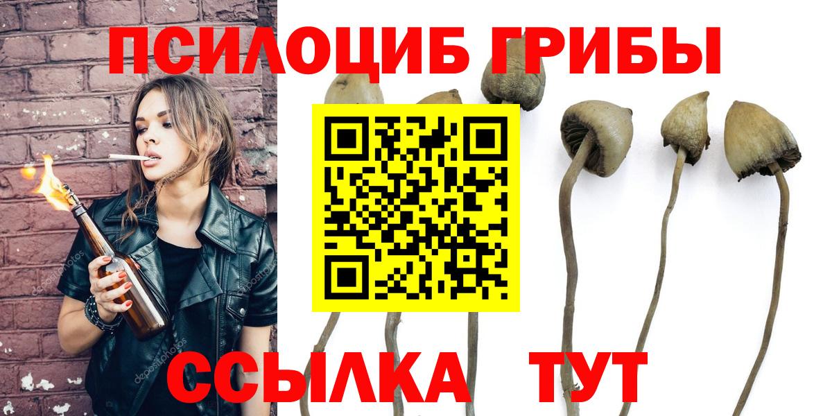 Галлюциногенные грибы Psilocybine cubensis  Псилоцибиновые грибы Psilocybine cubensis  Вход с VPN  Таганрог 